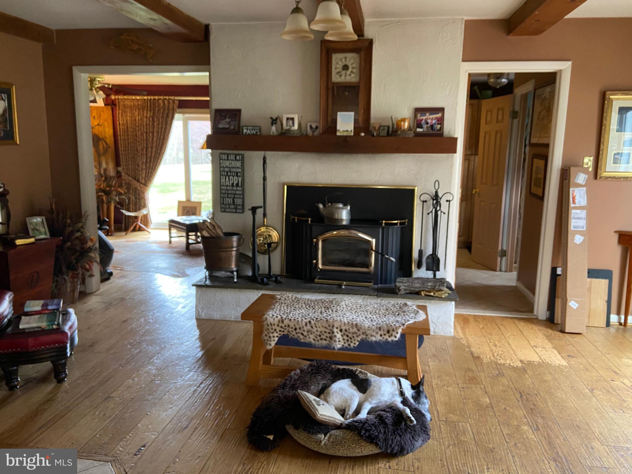 832 Warburton Road Elkton, MD 21921 - Photo 4 of 25 Sitting area off of kitchen, dog excluded