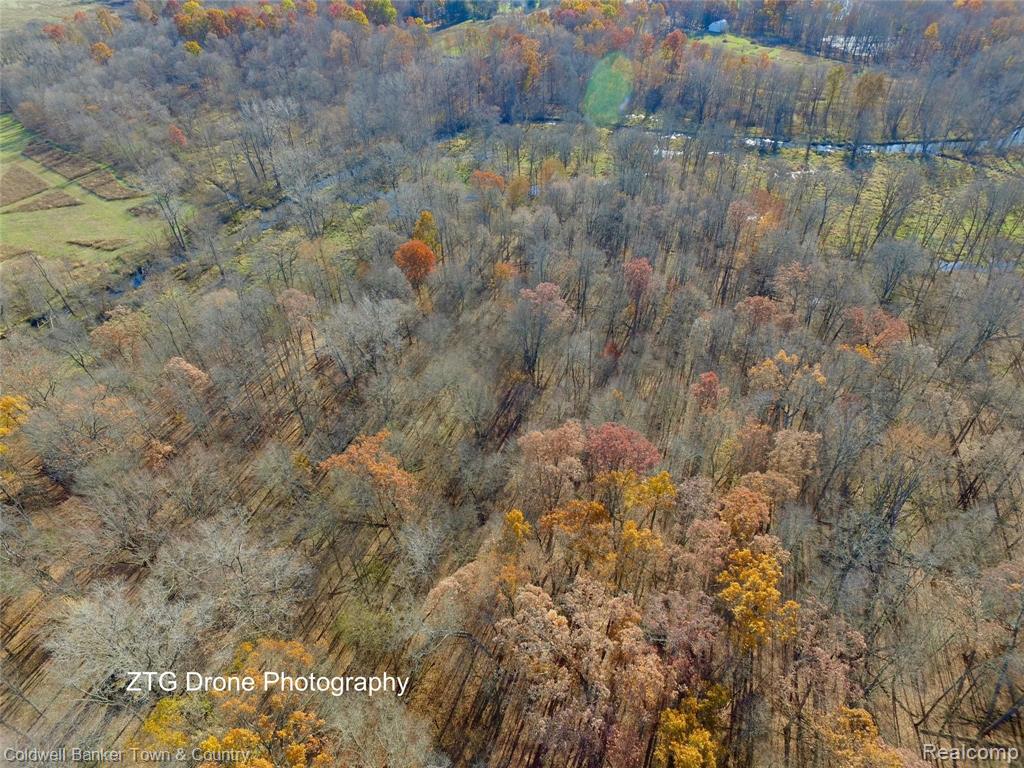 0 Allen Howell, MI 48855 - Photo 3 of 7