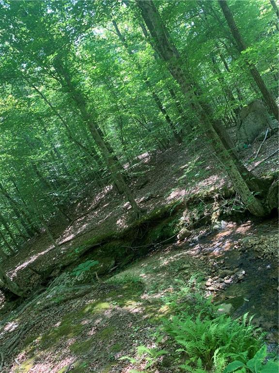 560 Woodrow Road Eden, NC 27288 - Photo 14 of 14 Gallery Image 14