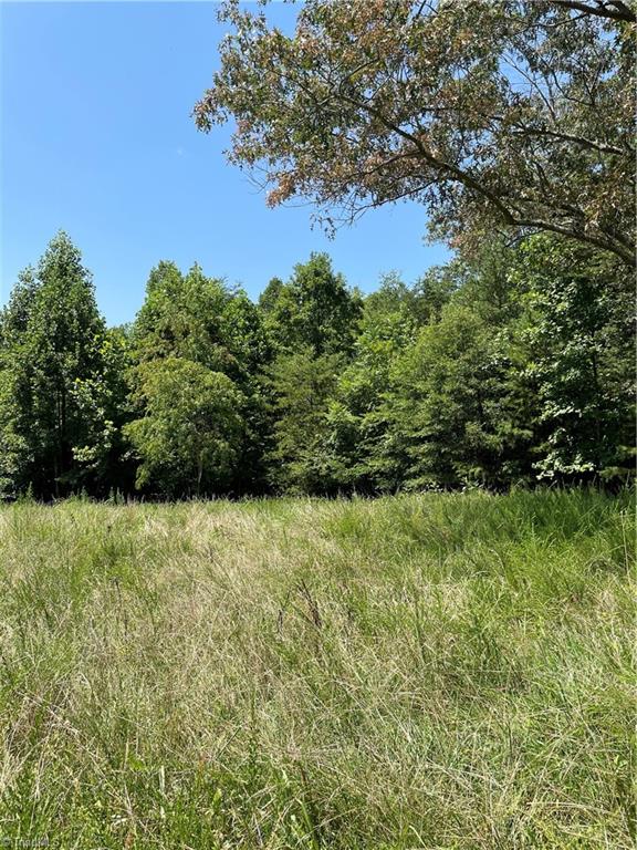 560 Woodrow Road Eden, NC 27288 - Photo 4 of 14 Gallery Image 4
