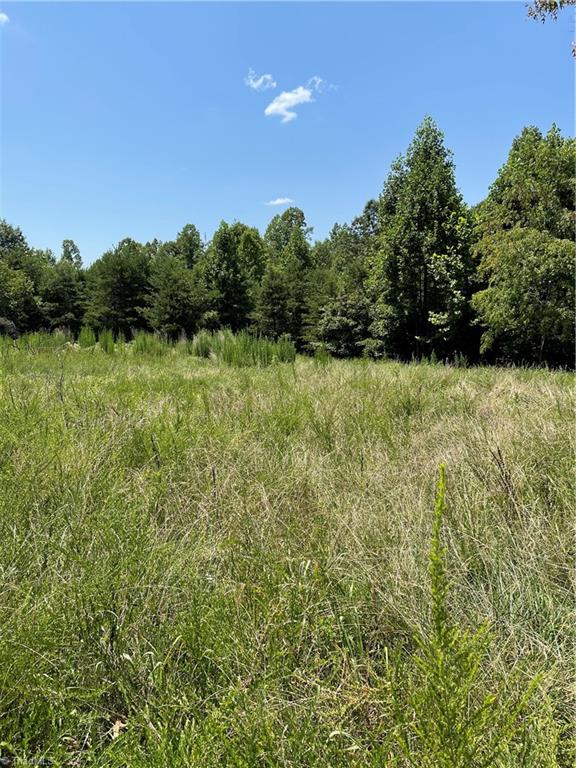 560 Woodrow Road Eden, NC 27288 - Photo 5 of 14 Gallery Image 5