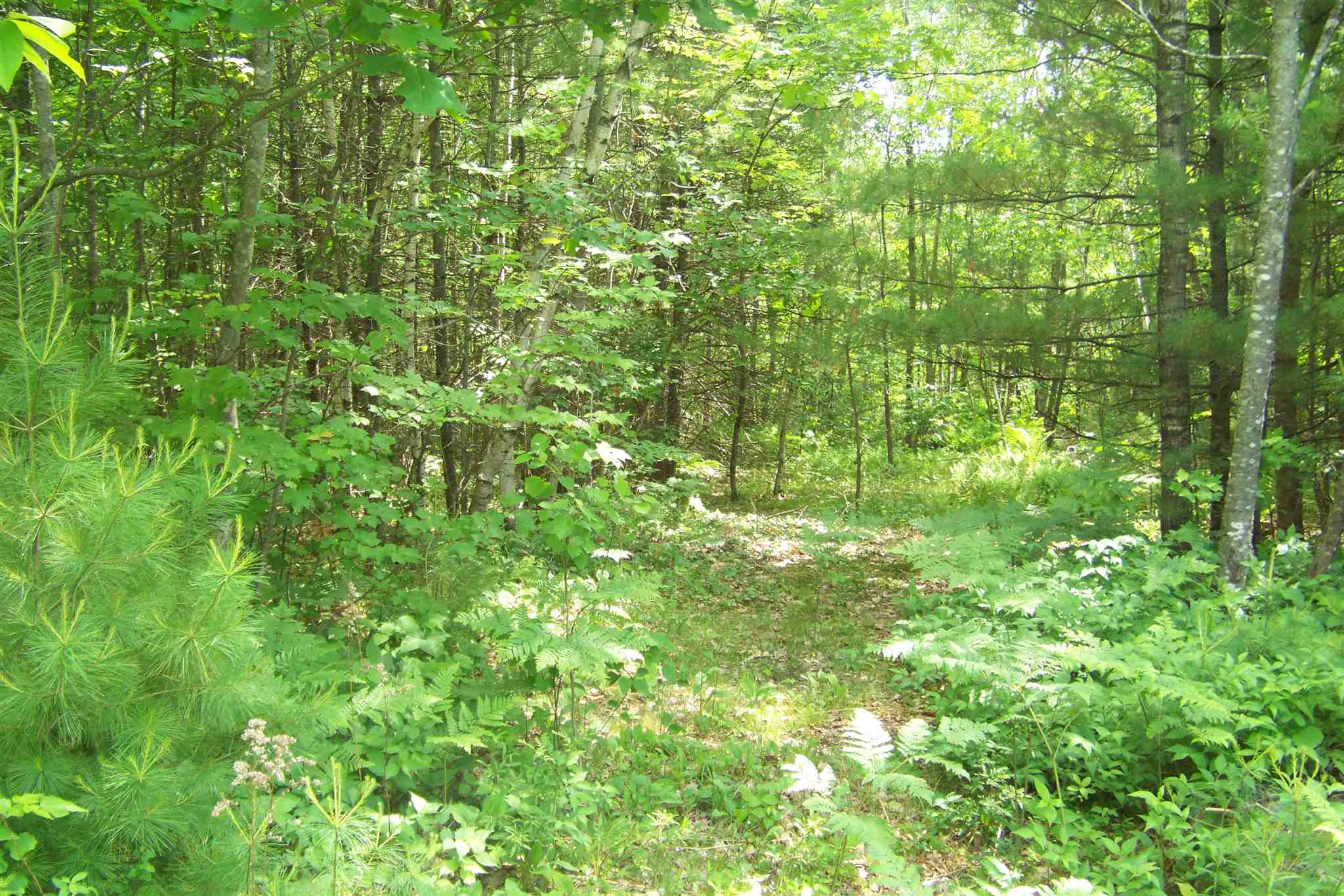 251 South Effingham Road Newfield, ME 04095 - Photo 26 of 31