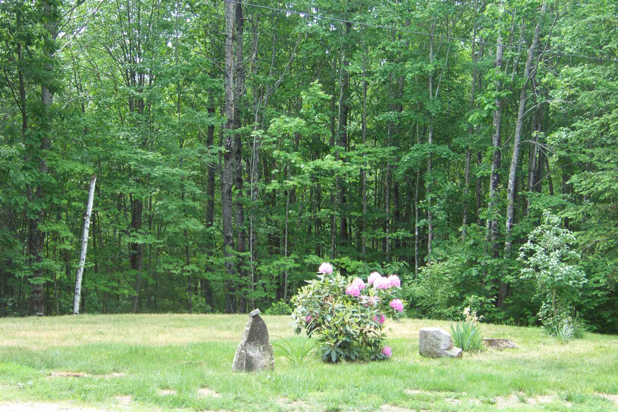 251 South Effingham Road Newfield, ME 04095 - Photo 29 of 31