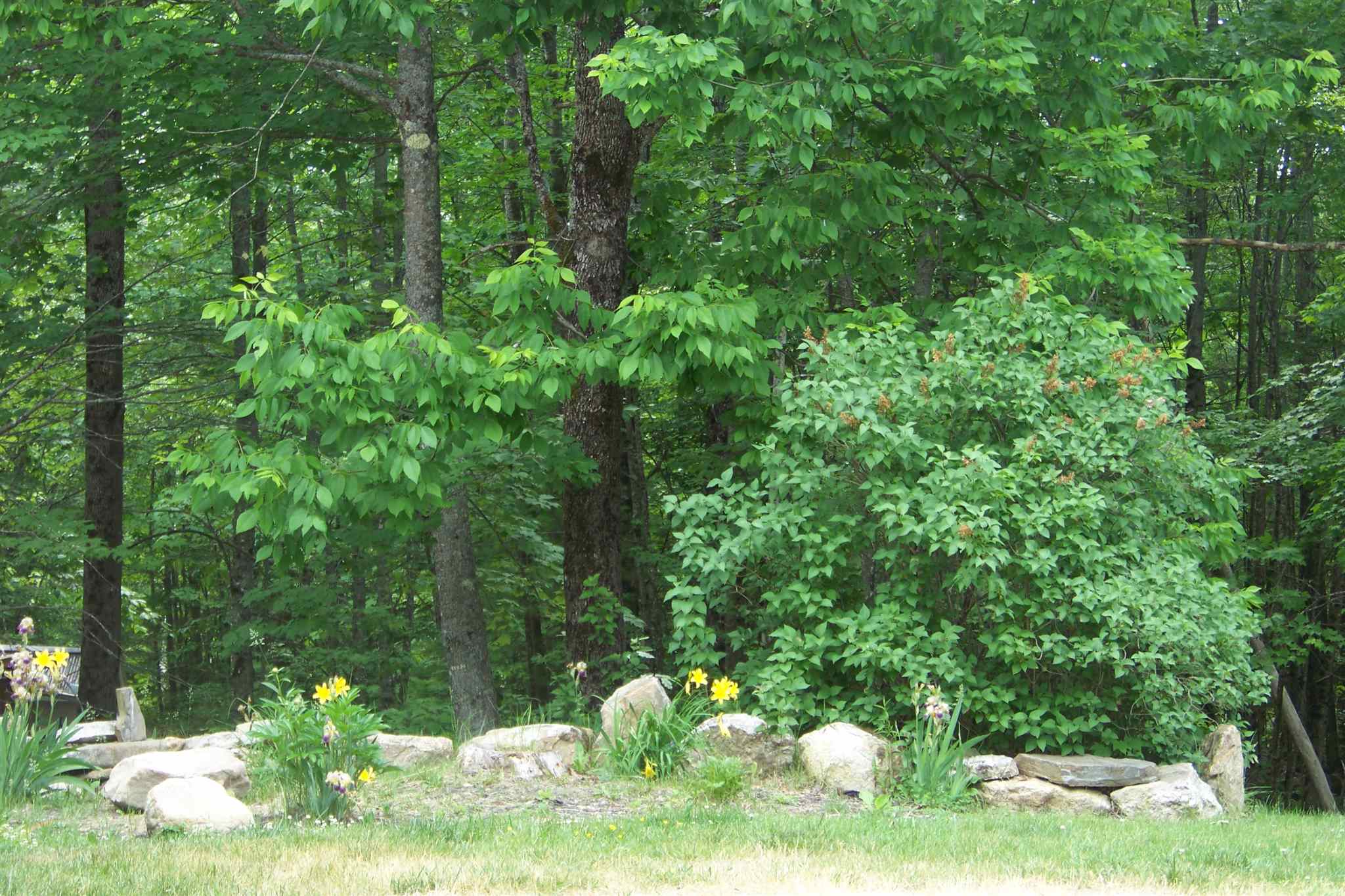 251 South Effingham Road Newfield, ME 04095 - Photo 30 of 31