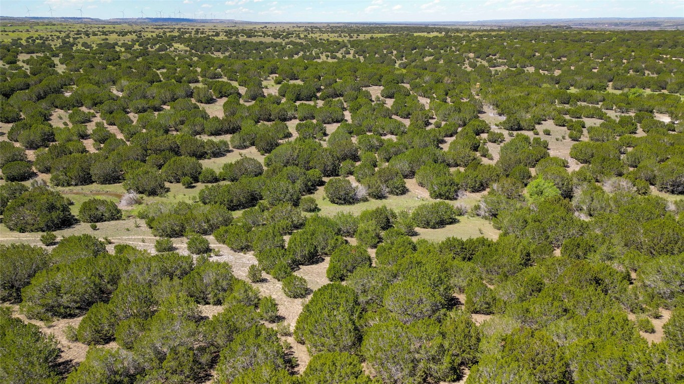4121 County Road 2719 Evant, TX 76525 - Photo 16 of 37 a view of a green field