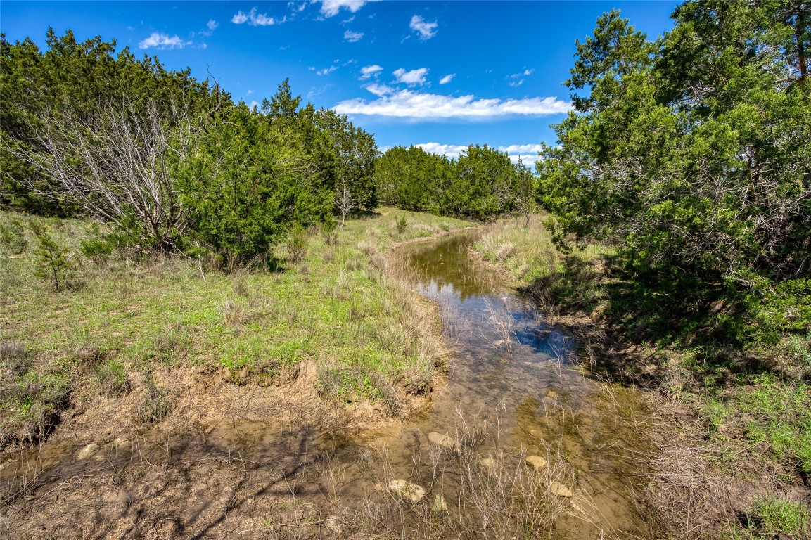 4121 County Road 2719 Evant, TX 76525 - Photo 24 of 37 a view of a yard with a tree