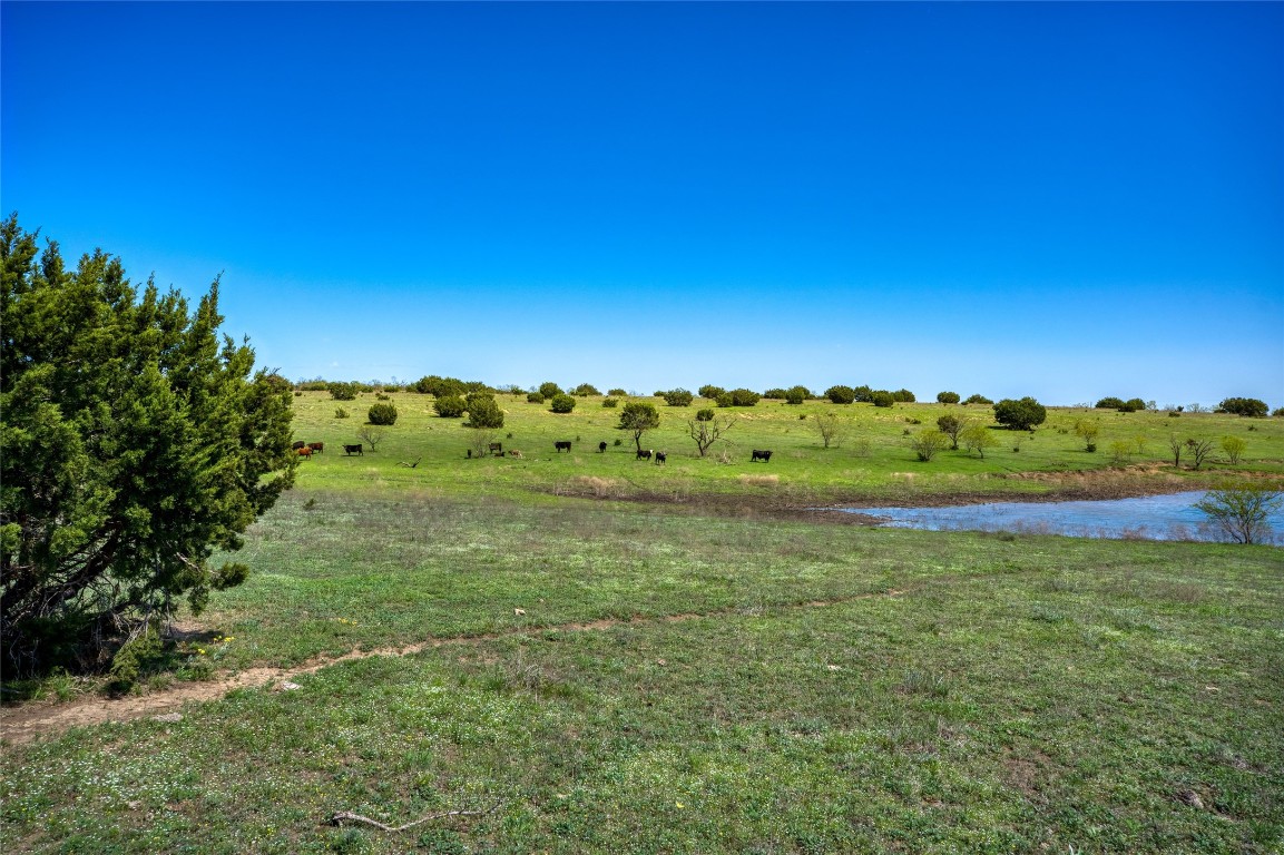 4121 County Road 2719 Evant, TX 76525 - Photo 30 of 37 a view of a green field with lots of green space