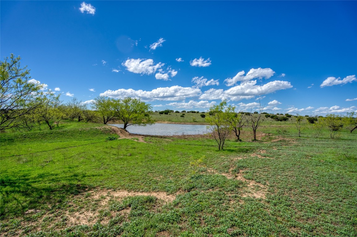 4121 County Road 2719 Evant, TX 76525 - Photo 32 of 37 a view of a big yard with large trees
