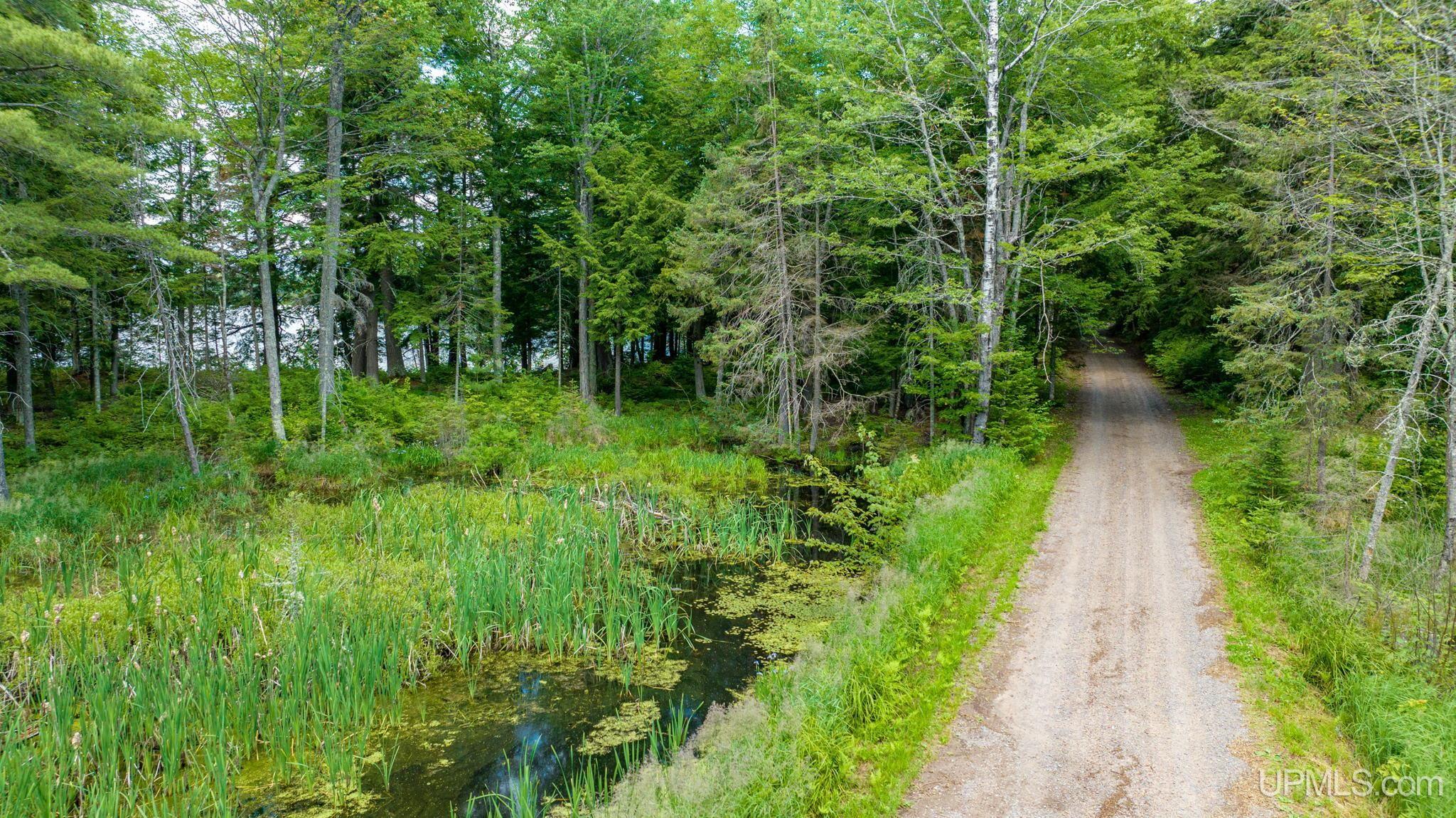 Tbd Tbd En-a-wen-da-win Road Watersmeet, MI 49969 - Photo 30 of 35