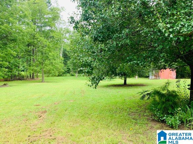 6002 Slasham Road Gadsden, AL 35907 - Photo 17 of 27