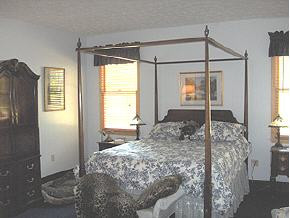 415 Moulton Greene Road Fall Branch, TN 37656 - Photo 4 of 9 Photo 4
