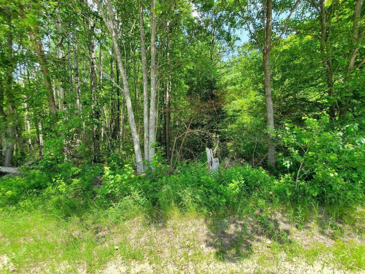 0 Morgan Road Burnham, ME 04922 - Photo 63 of 69 20250617_130829
