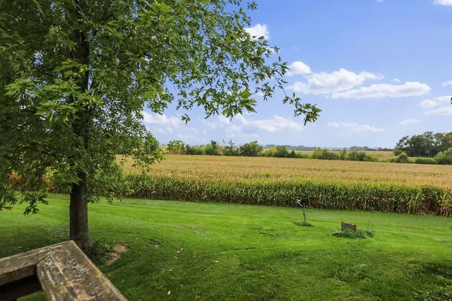 a view of a lake with a big yard and potted plants