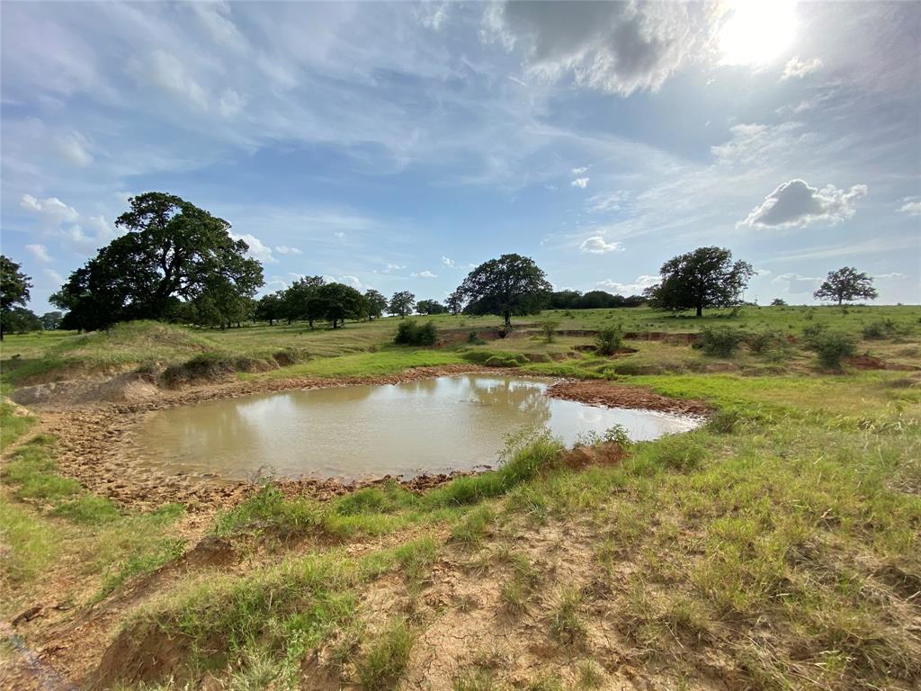 1605 Tolar Cemetery Road Tolar, TX 76476 - Photo 12 of 25 a view of a lake view