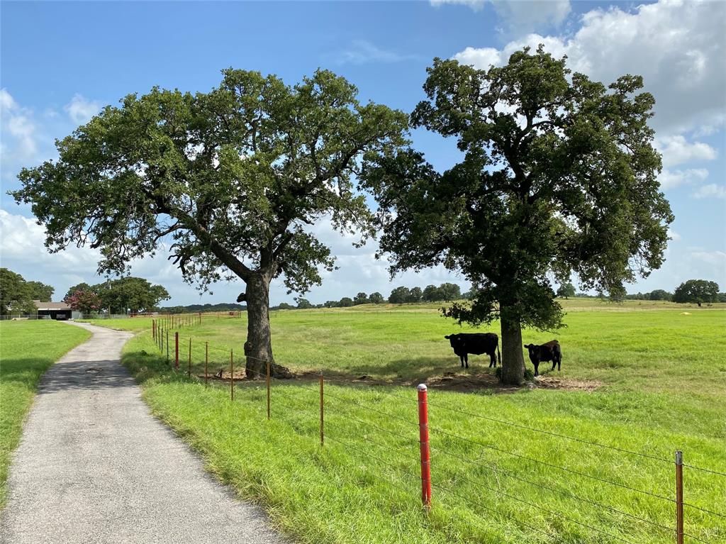 1605 Tolar Cemetery Road Tolar, TX 76476 - Photo 6 of 25 a view of an outdoor space