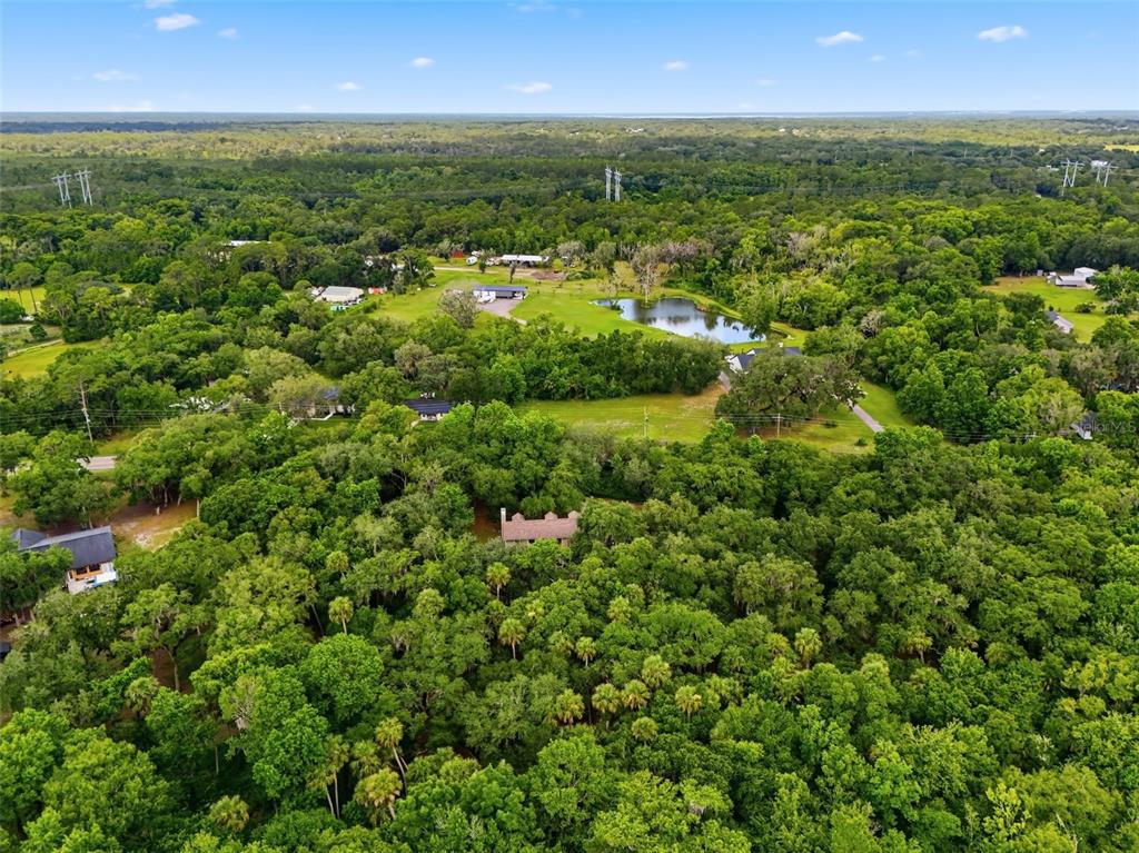 381 North Jungle Road Geneva, FL 32732 - Photo 51 of 55