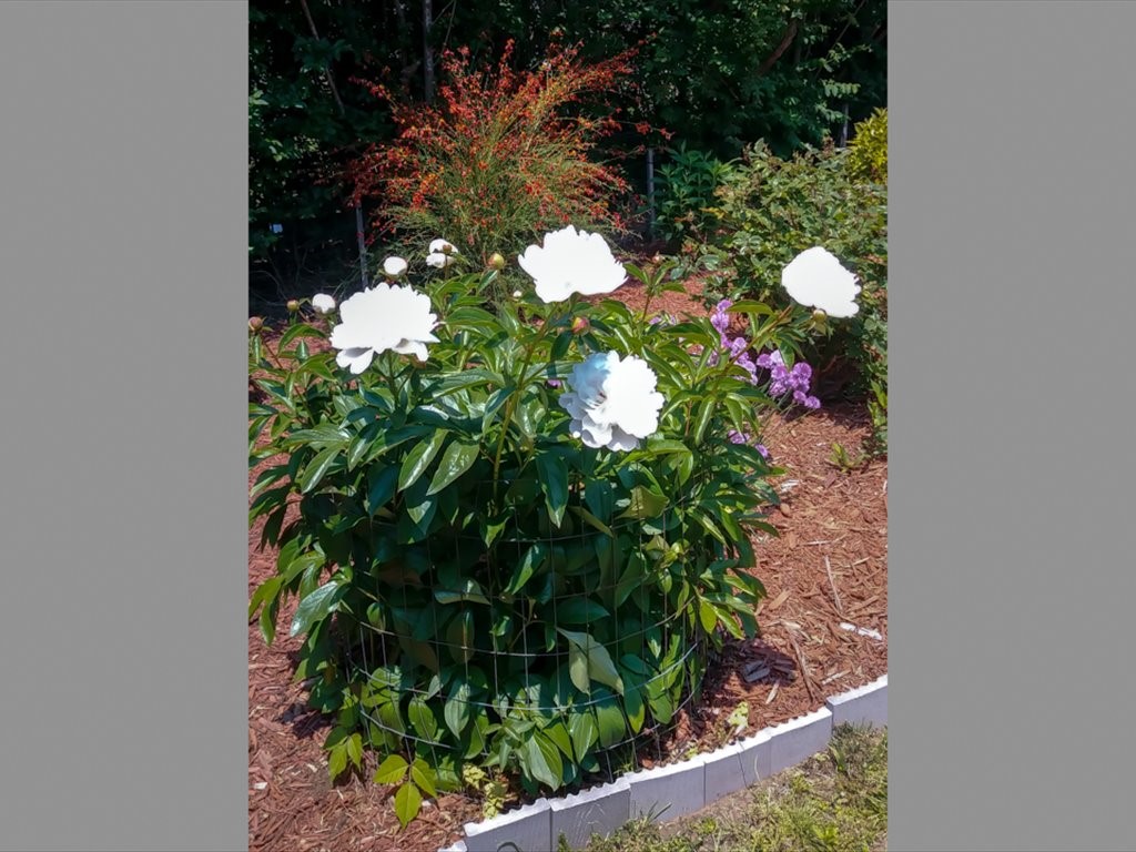 80 Weekapaug Road Westerly, RI 02891 - Photo 49 of 50