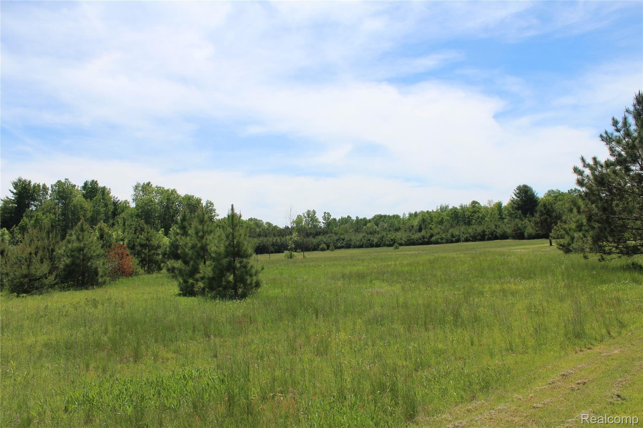 1165 East Heil Road Gladwin, MI 48624 - Photo 14 of 73 Front Acreage 5.JPG
