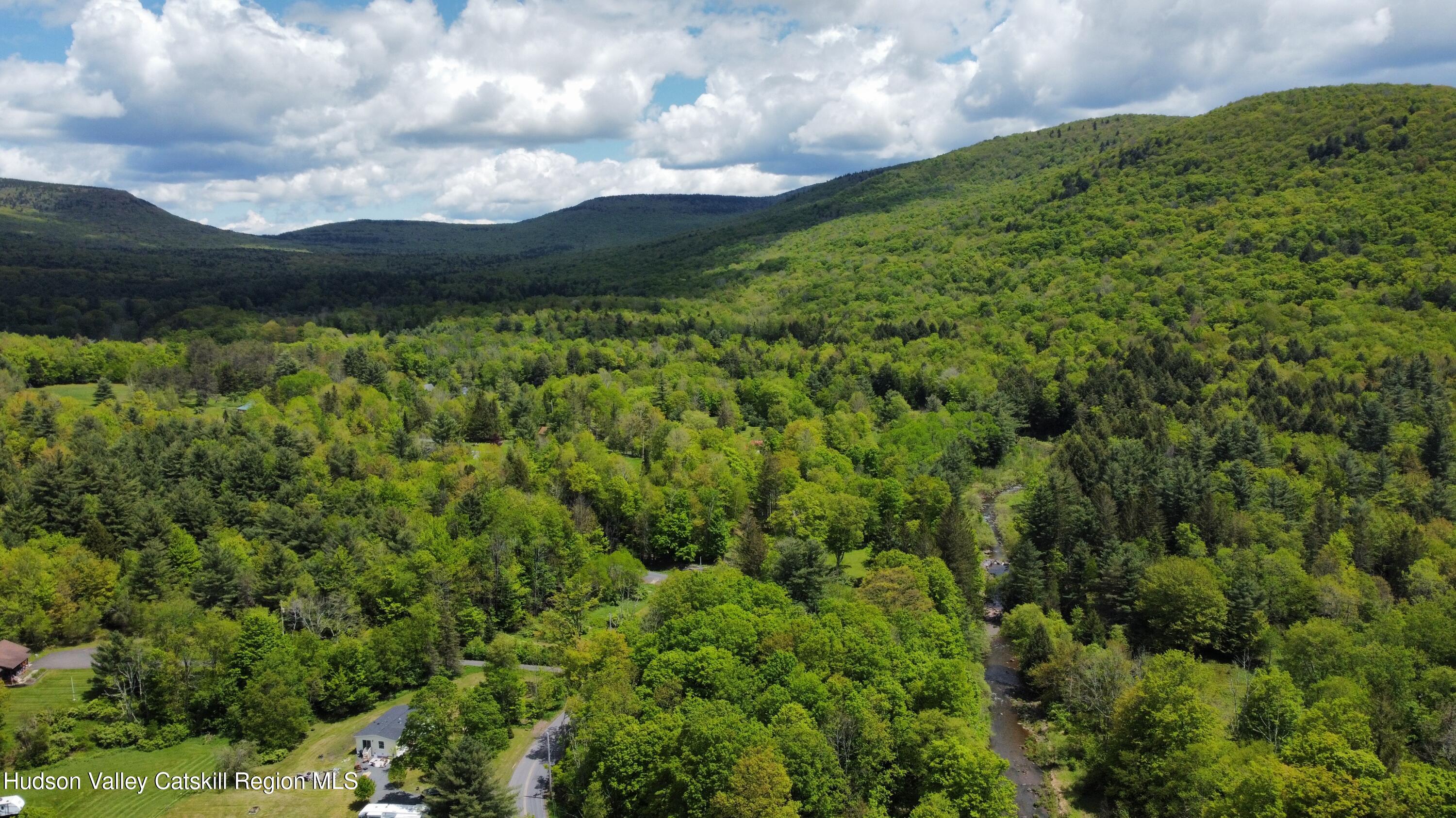 221 Colgate Road East Jewett, NY 12424 - Photo 34 of 34 a view of a lush green forest with lots of trees