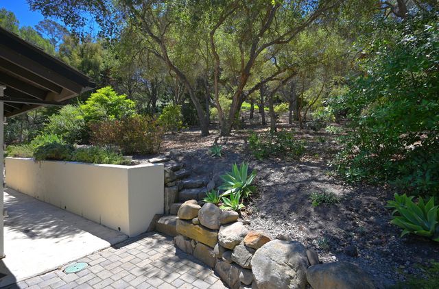 a view of a backyard with plants