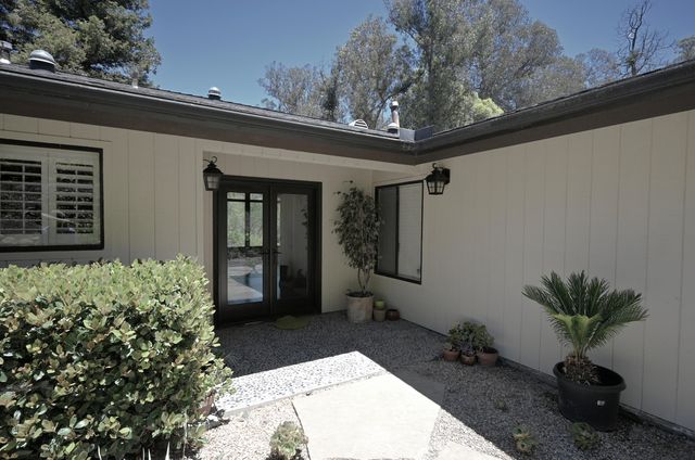 a potted plant sitting in front of a house