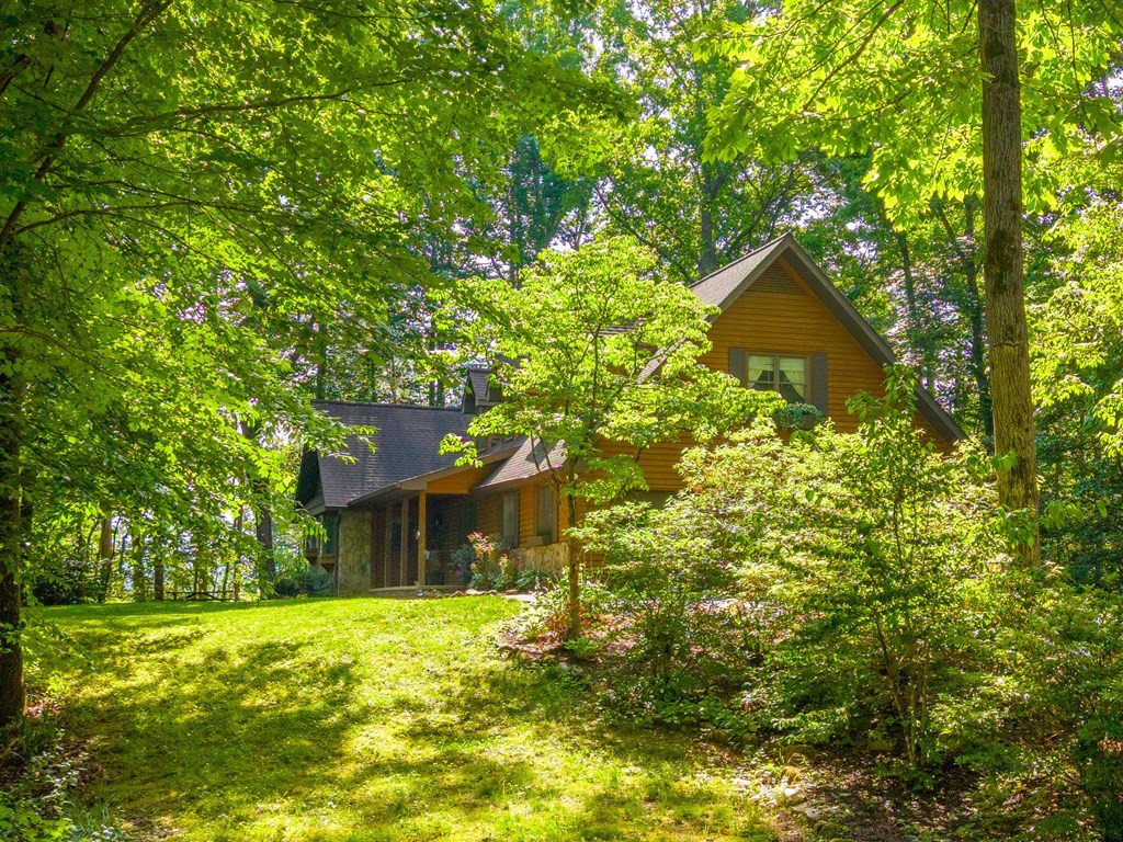 171 High Splendor Drive Robbinsville, NC 28771 - Photo 4 of 62