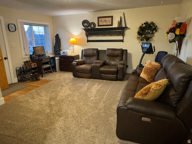 655 North 8th East Preston, ID 83263 - Photo 8 of 32 Carpeted living area with a textured ceiling