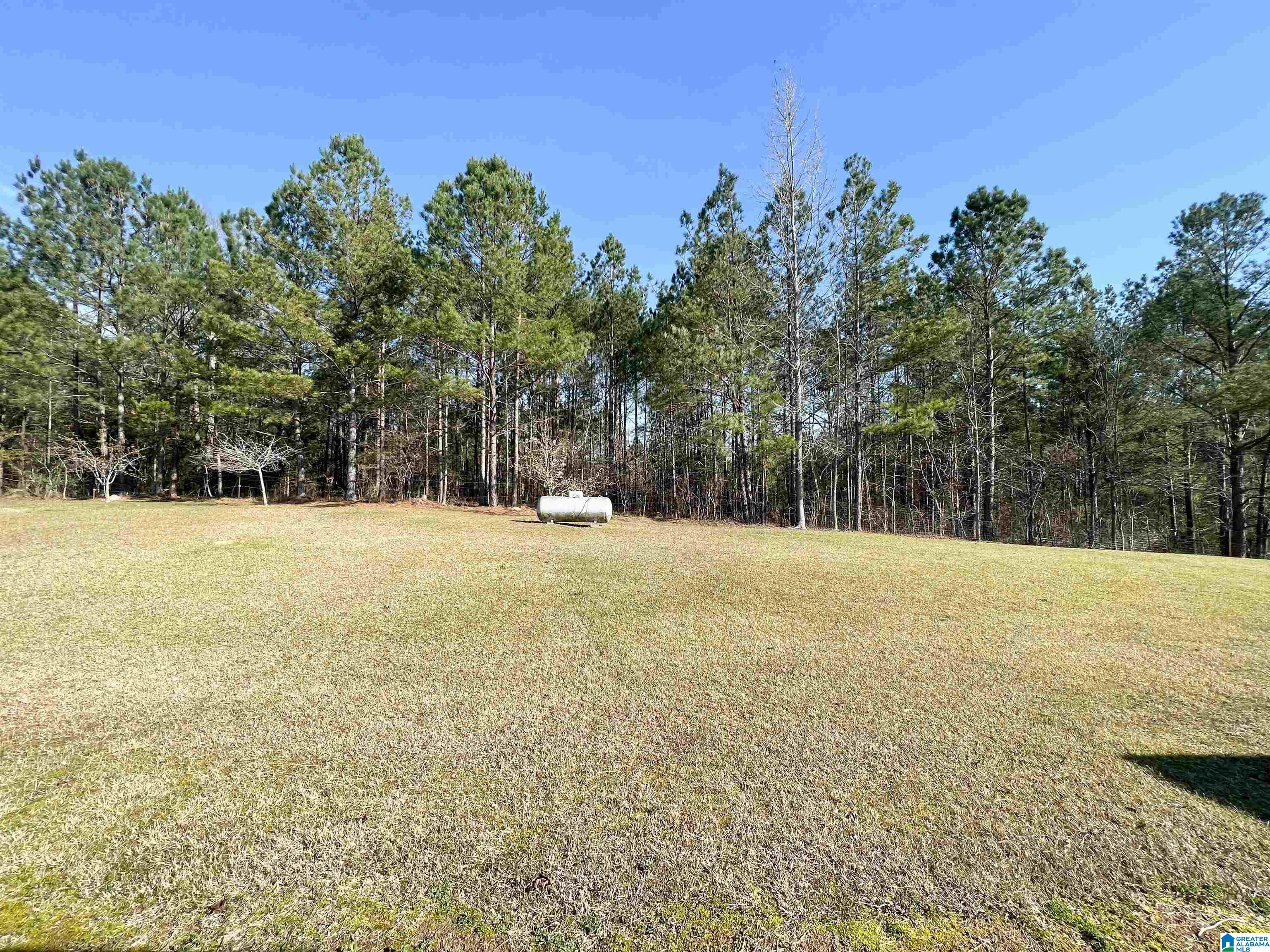 1586 Mark Green Road Jacksonville, AL 36265 - Photo 26 of 27