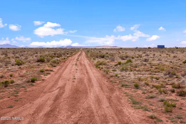 a view of a city and mountain