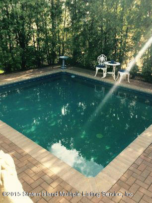 132 Beverly Road Staten Island, NY 10305 - Photo 35 of 38 pool (4)