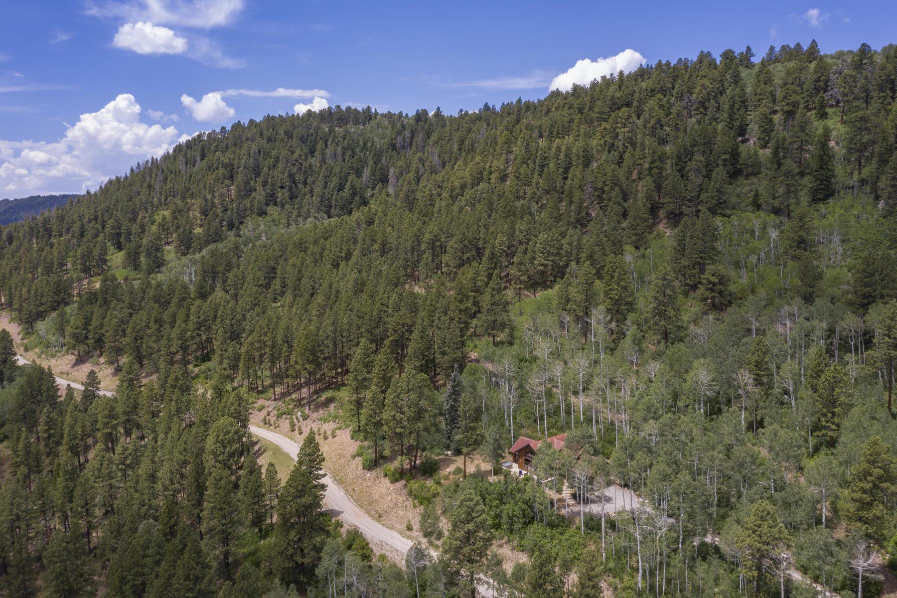 295 Sky Mountain Ranch Road Placerville, CO 81430 - Photo 2 of 29 295 Sky Mountain Ranch Road-002-006-Aeri