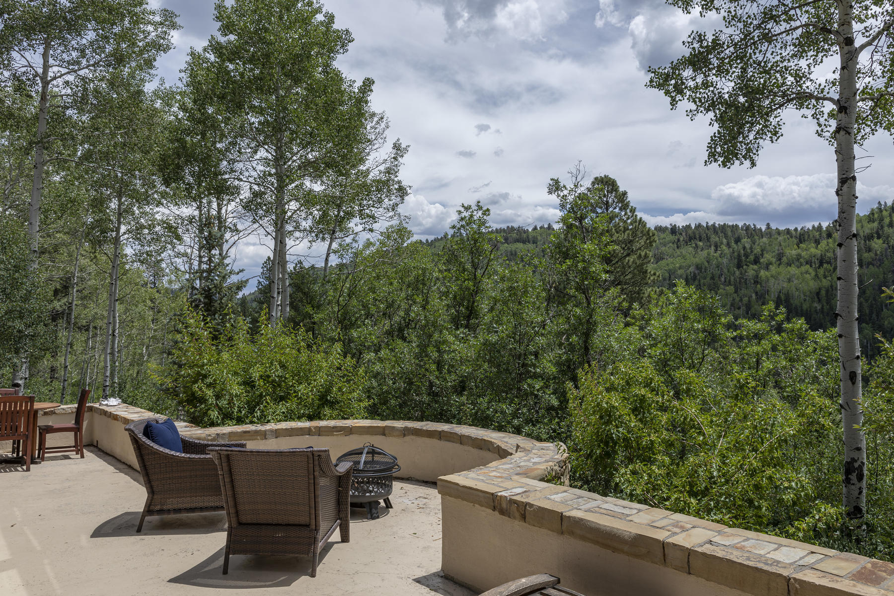 295 Sky Mountain Ranch Road Placerville, CO 81430 - Photo 11 of 29 295 Sky Mountain Ranch Road-011-028-Pati