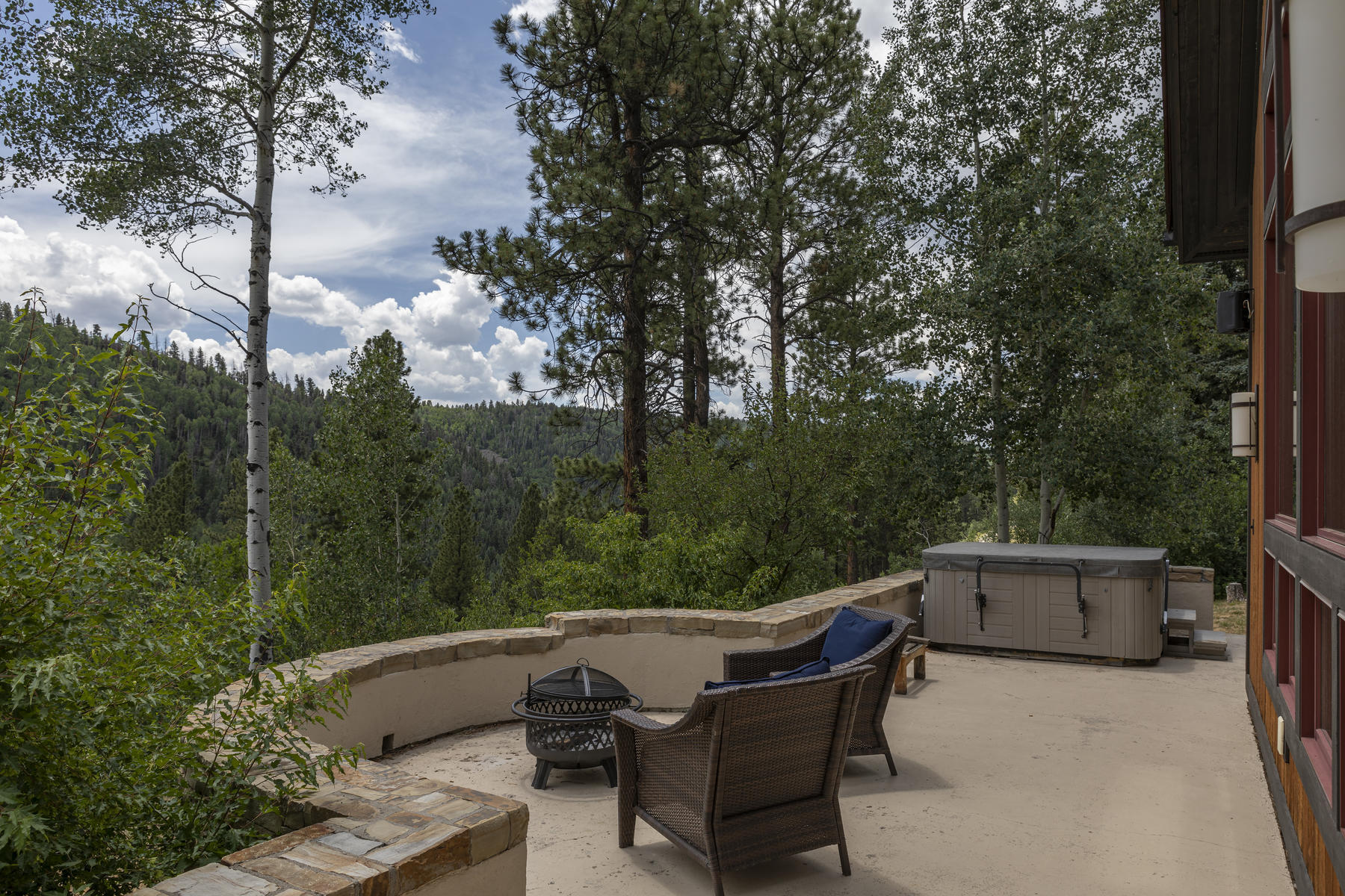 295 Sky Mountain Ranch Road Placerville, CO 81430 - Photo 12 of 29 295 Sky Mountain Ranch Road-012-011-Pati