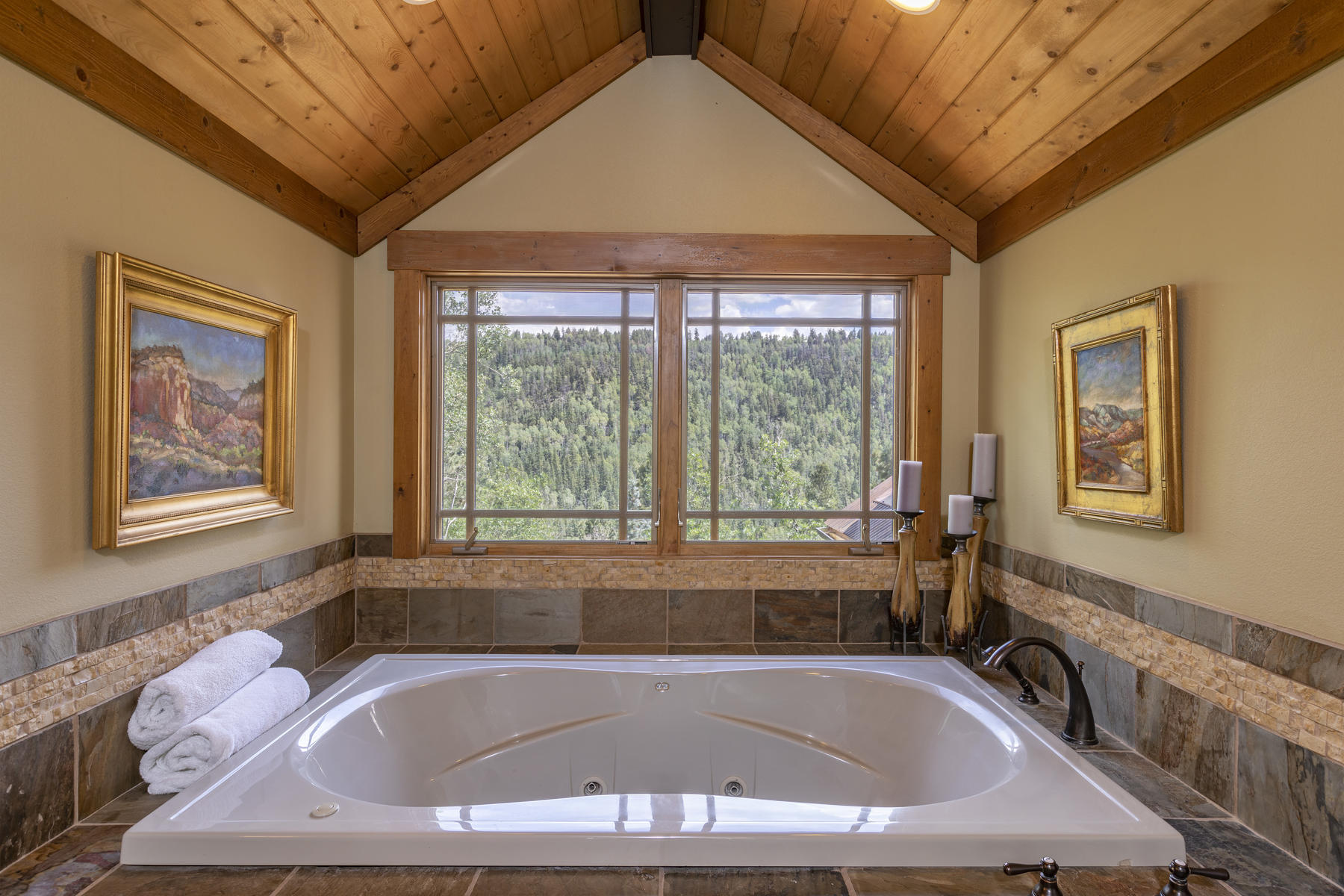 295 Sky Mountain Ranch Road Placerville, CO 81430 - Photo 16 of 29 295 Sky Mountain Ranch Road-016-005-Mast