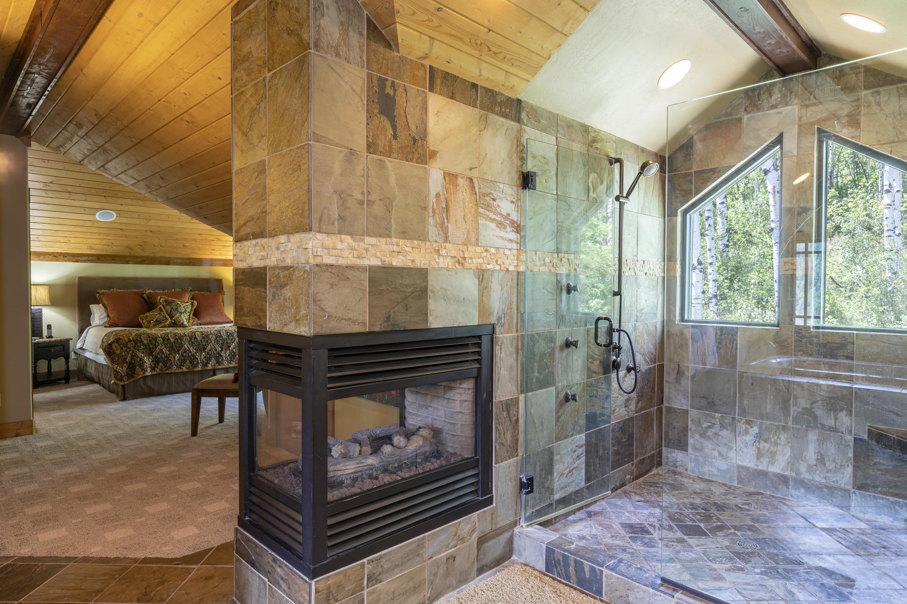 295 Sky Mountain Ranch Road Placerville, CO 81430 - Photo 17 of 29 295 Sky Mountain Ranch Road-017-025-Mast