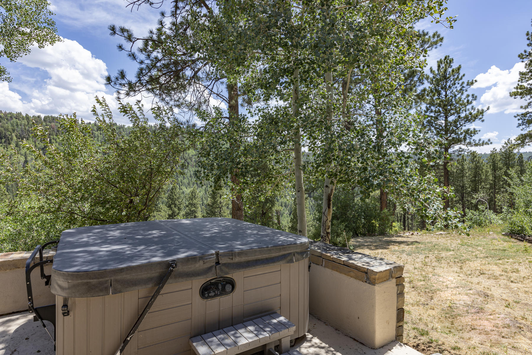 295 Sky Mountain Ranch Road Placerville, CO 81430 - Photo 24 of 29 295 Sky Mountain Ranch Road-024-017-Hot