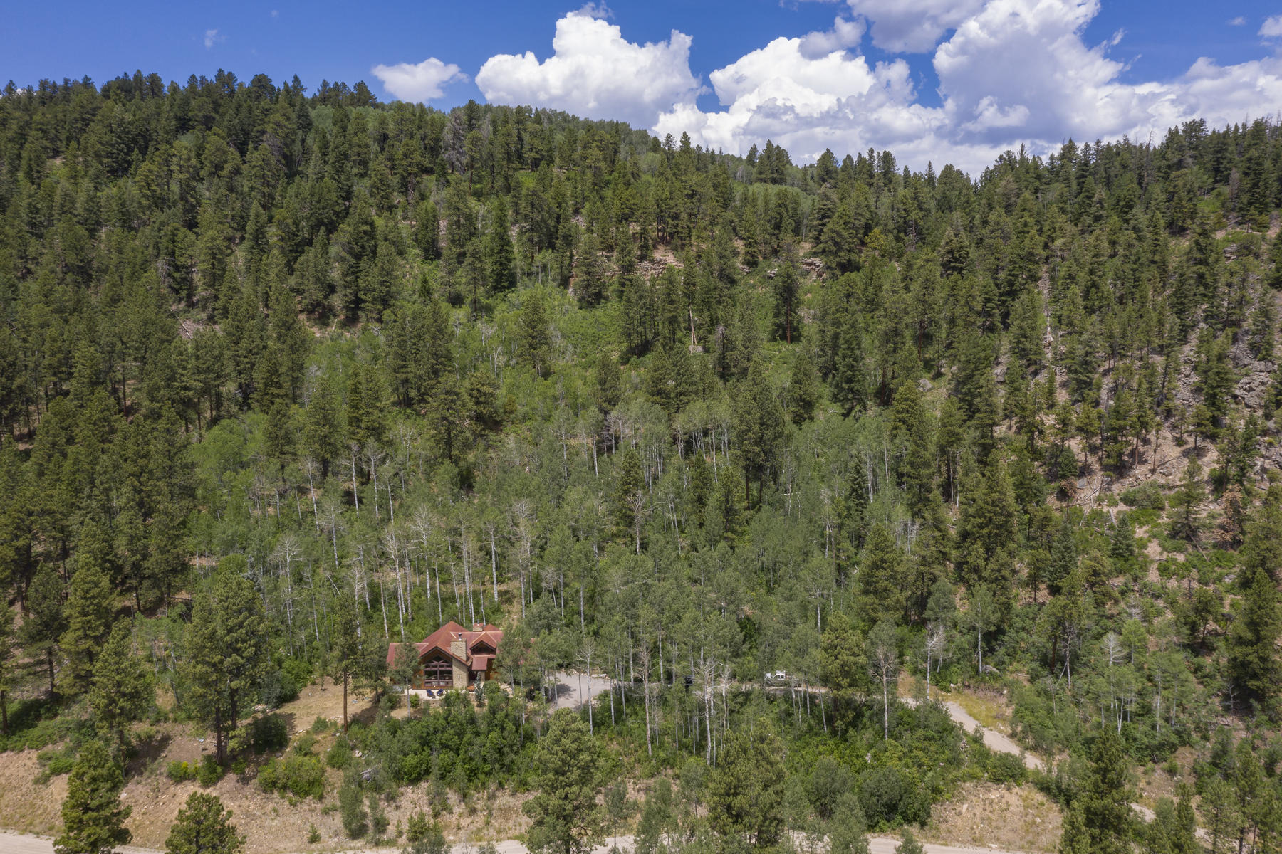 295 Sky Mountain Ranch Road Placerville, CO 81430 - Photo 29 of 29 295 Sky Mountain Ranch Road-029-004-Aeri