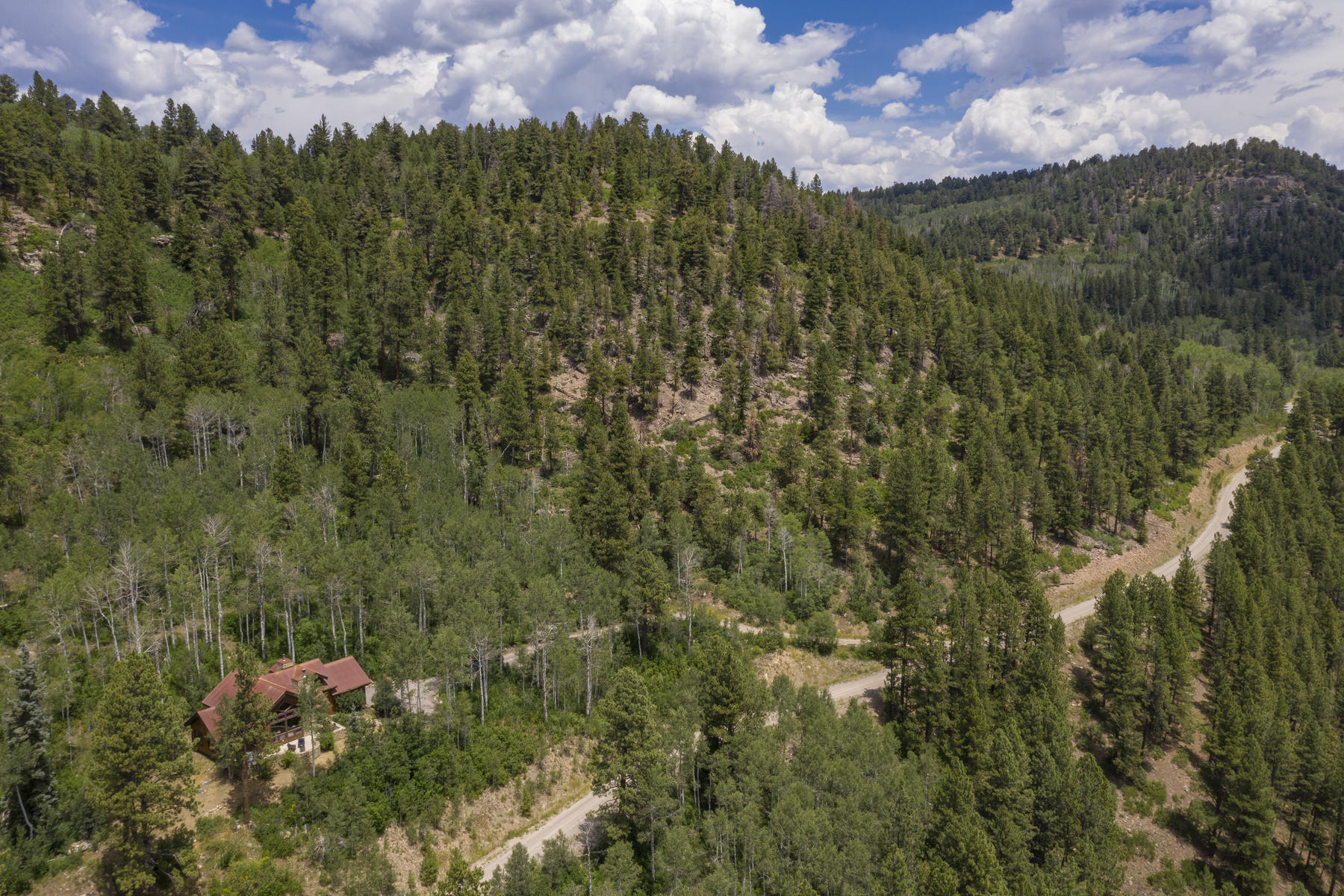 295 Sky Mountain Ranch Road Placerville, CO 81430 - Photo 4 of 29 295 Sky Mountain Ranch Road-004-001-Aeri