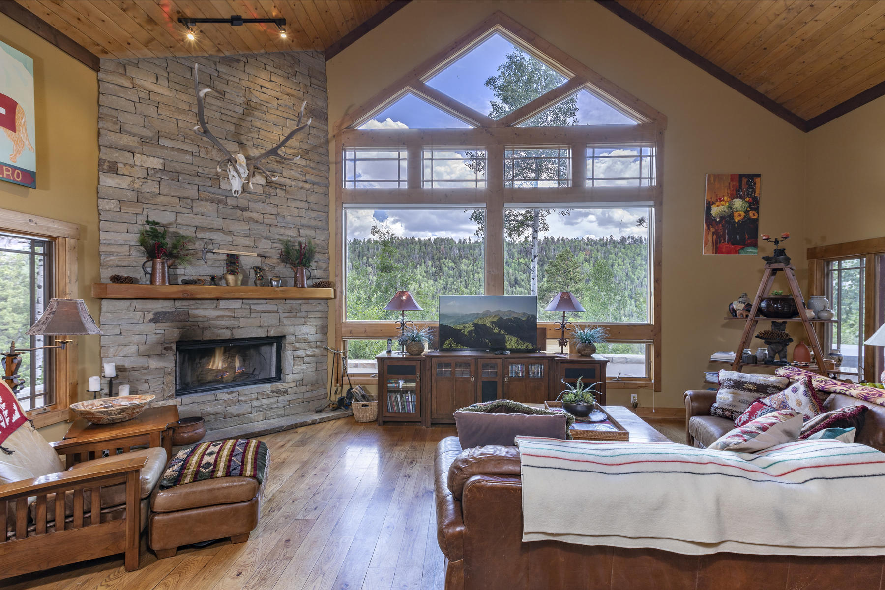 295 Sky Mountain Ranch Road Placerville, CO 81430 - Photo 5 of 29 295 Sky Mountain Ranch Road-005-021-Livi