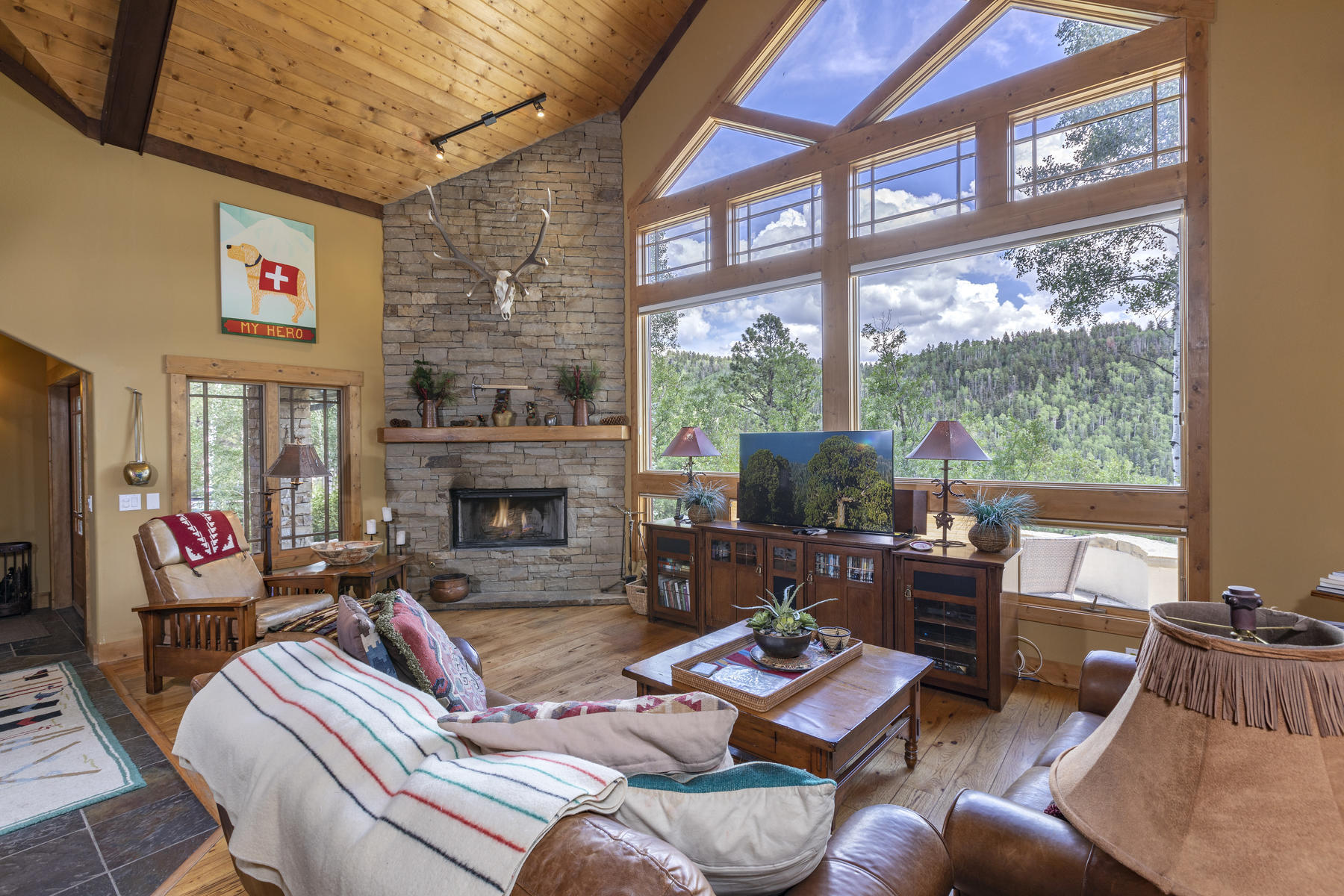 295 Sky Mountain Ranch Road Placerville, CO 81430 - Photo 6 of 29 295 Sky Mountain Ranch Road-006-020-Livi