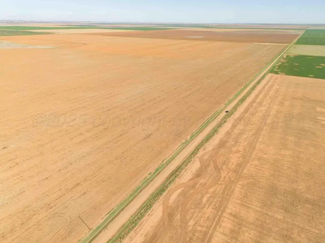 a view of an ocean beach