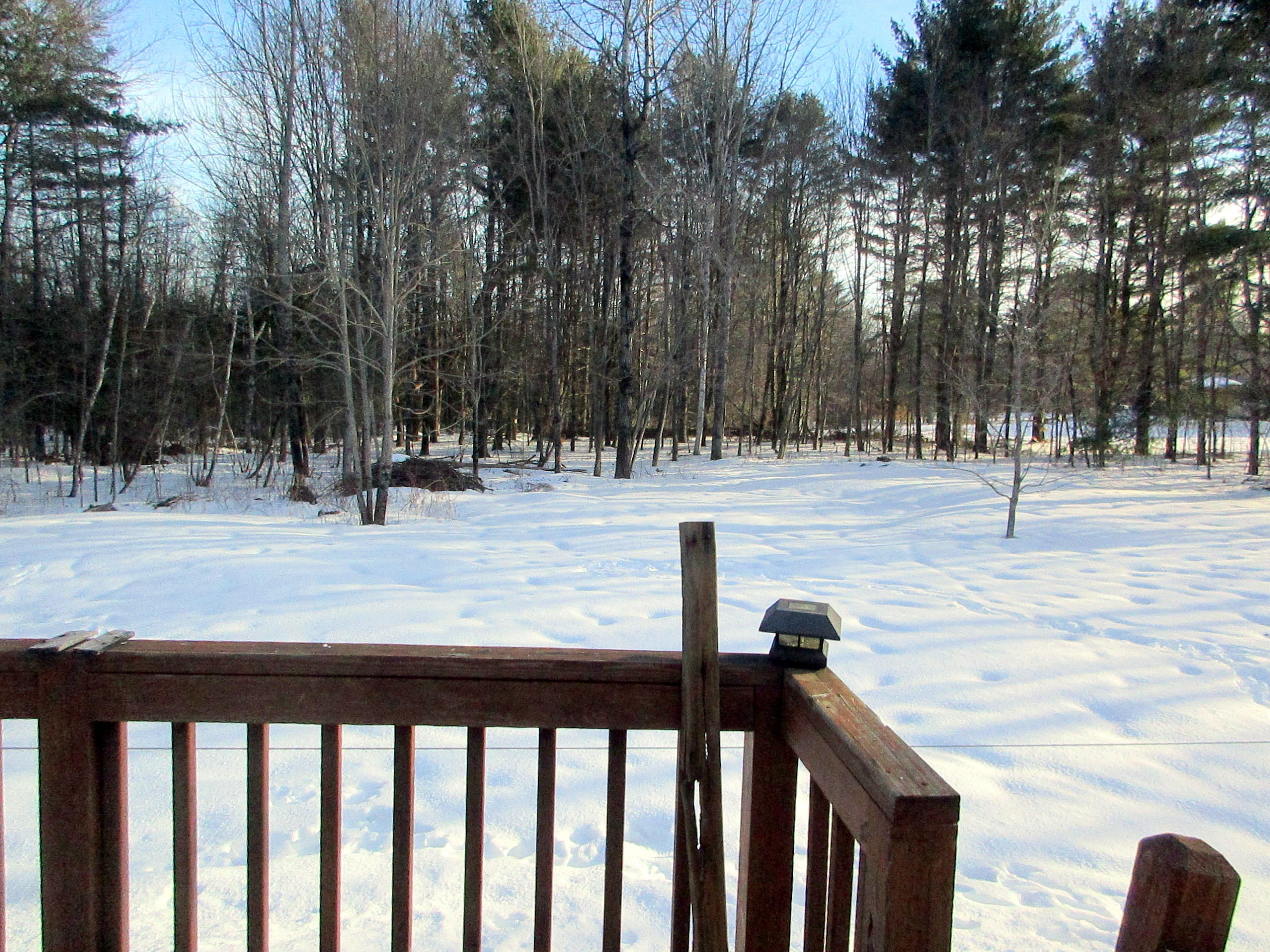 3835 Middle Road Sidney, ME 04330 - Photo 19 of 20 Yard