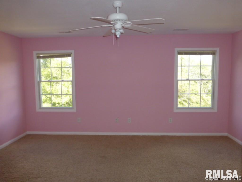 7509 New City Road Rochester, IL 62563 - Photo 11 of 15