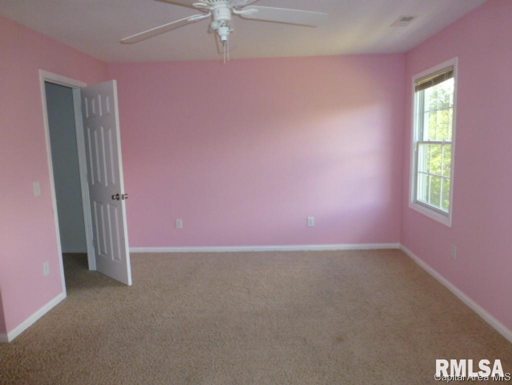 7509 New City Road Rochester, IL 62563 - Photo 12 of 15