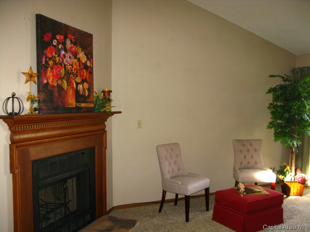 213 Astoria Road Springfield, IL 62704 - Photo 3 of 16