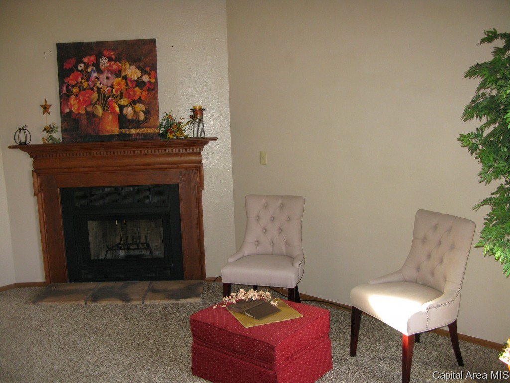 213 Astoria Road Springfield, IL 62704 - Photo 4 of 16