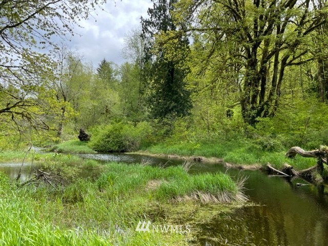 5255 Wickersham Road Acme, WA 98220 - Photo 39 of 40 a view of an outdoor space and a lake view