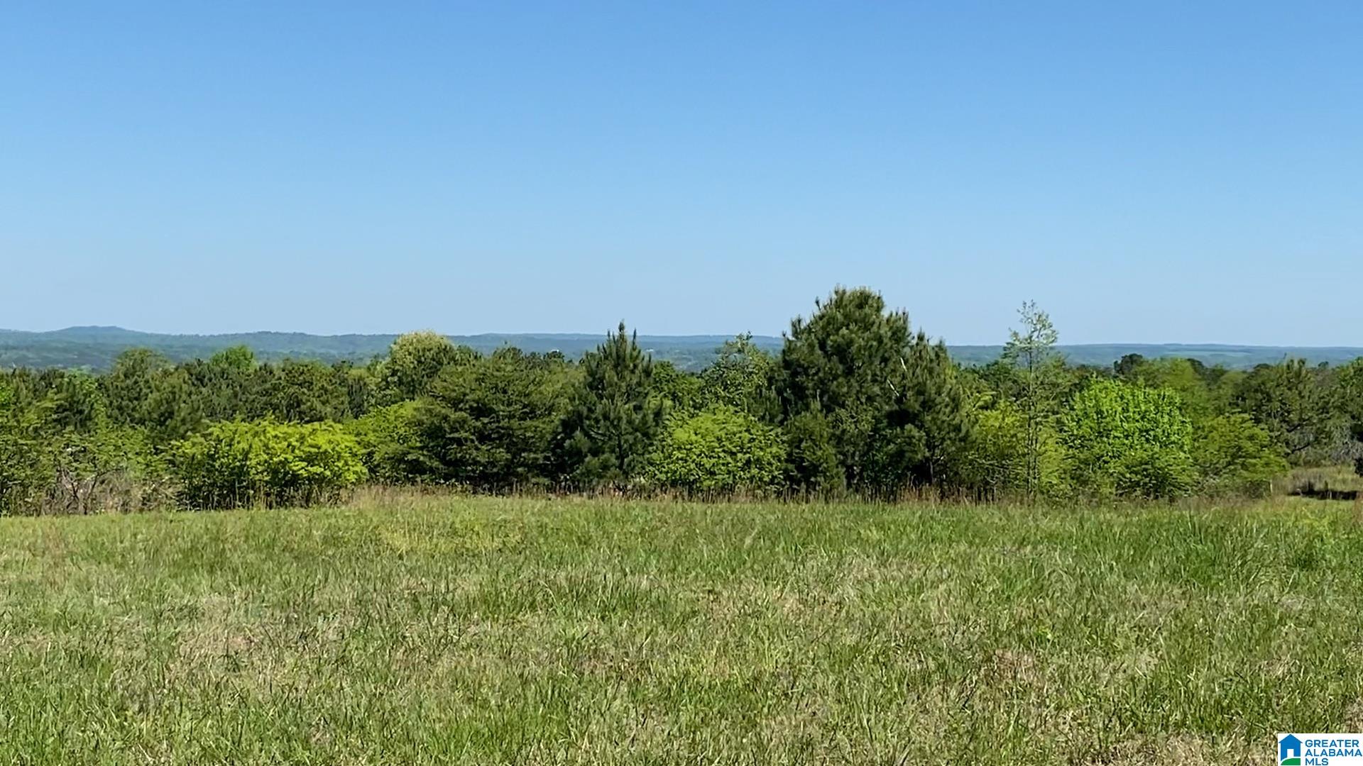0 Jones Chapel Loop, Unit 20 ACRES Springville, AL 35146 - Photo 7 of 13