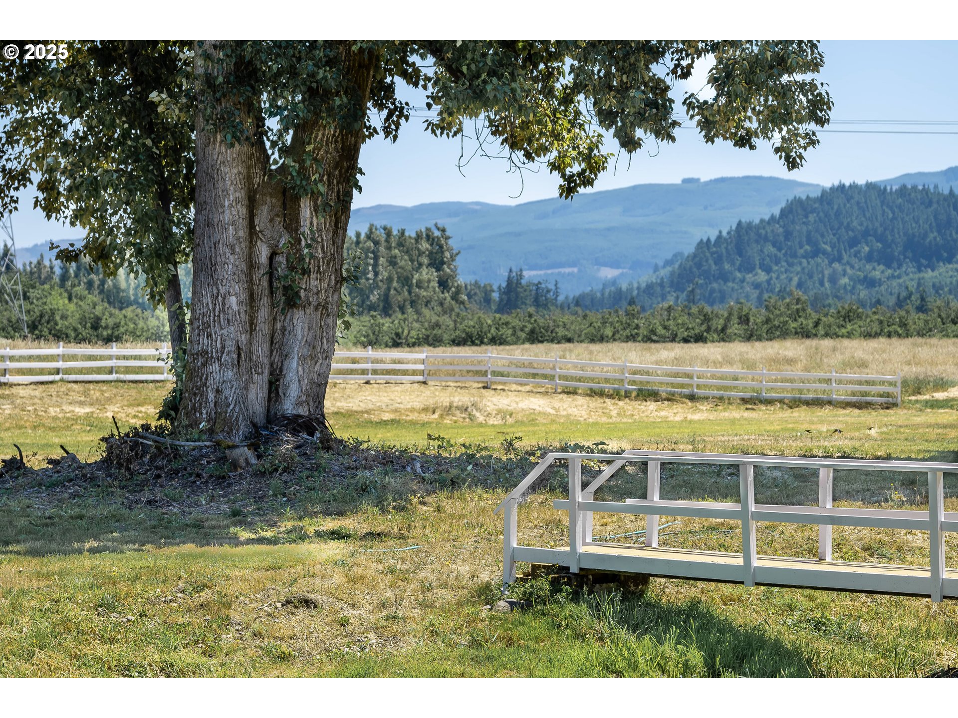 8758 Thurston Road Springfield, OR 97478 - Photo 16 of 39 Gallery Image 16
