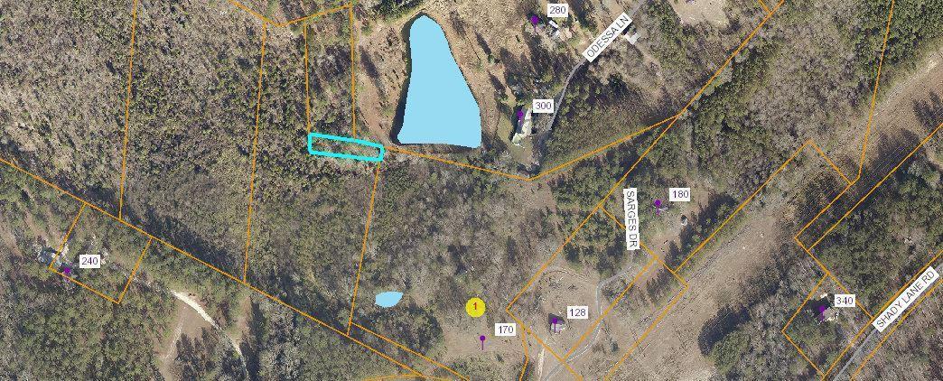 170 Jody Road Carthage, NC 28327 - Photo 3 of 7 GIS pic 3